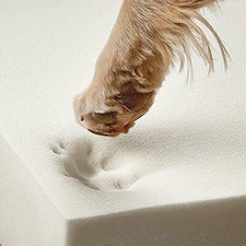 Memory Foam Off Cut Dog Bed