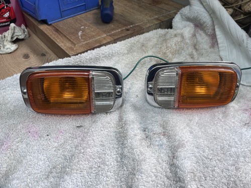 Nos gen lucas l694 - nos,