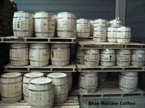 Jamaican blue mountain coffee - mountain,