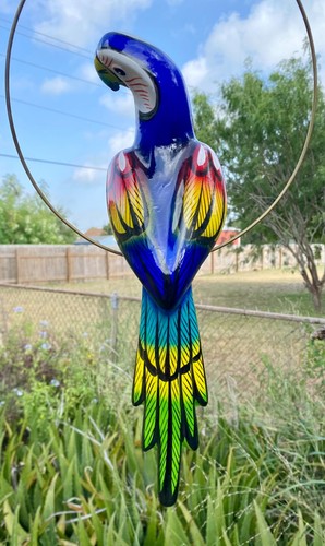 Talavera macaw parrot bird - talavera,