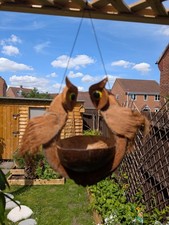 Twin Owl Coconut Hand Carved