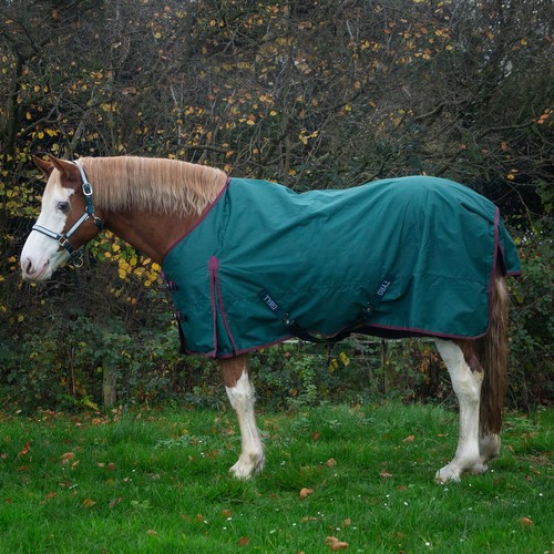 Tyro zero fill turnout - no, rug