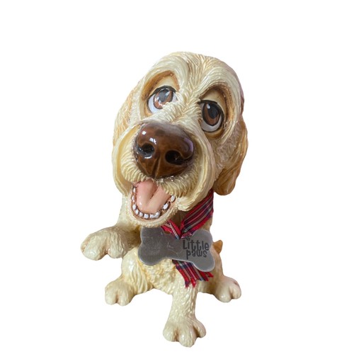 Bouncer labradoodle dog - labradoodle,