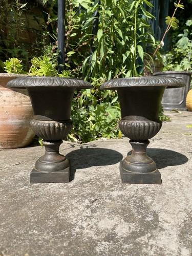 Gorgeous pair miniature - a, of