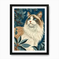 Ragdoll Cat Relief