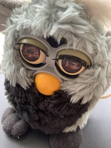 Furby koala black and - gray, by