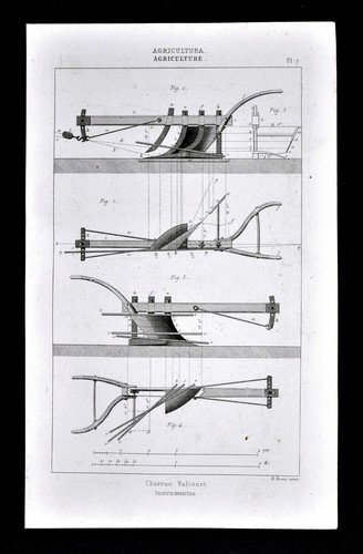 1859 antique print agriculture - antique,