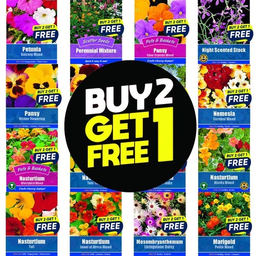 Flower seeds plants - flower,