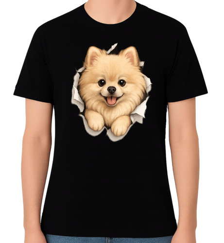 Cute pomeranian puppy graphic - pomeranian,