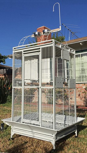 Large elegant double ladders - large,