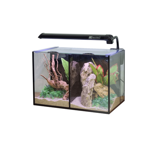 Black aqua one - betta, glass