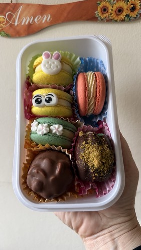 Macarons shells