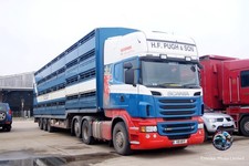 Truck Photo 6x4 Scania H F Pugh & Son Livestock V8HFP