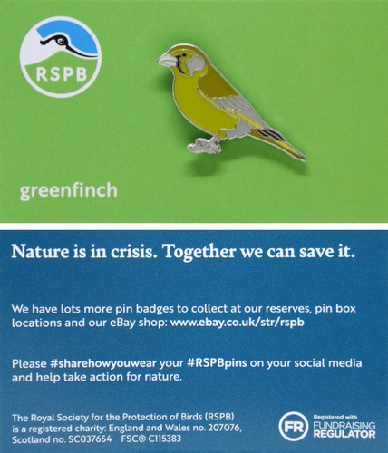 Rspb pin badge niic - rspb,