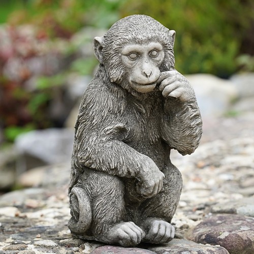 Monkey stone statue outdoor - monkey,