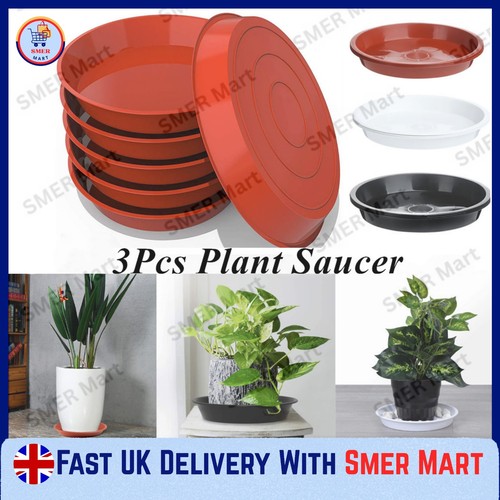 Round plant pot saucer - plant,