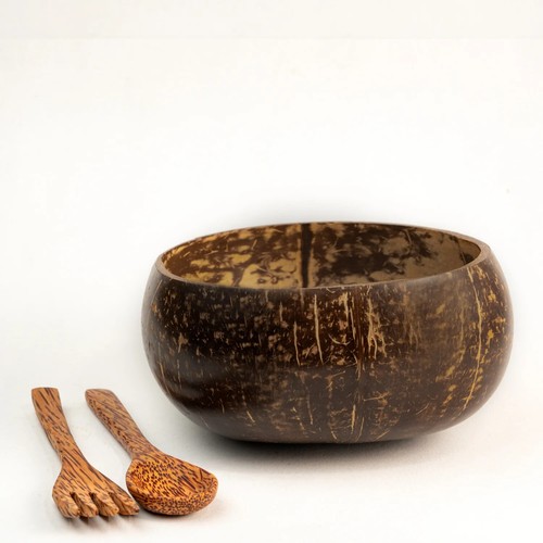 Jumbo coconut shell bowl - jumbo,