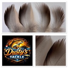 Mallard Duck Bronze Shoulder