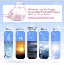 Bird Robin Barometer Storm