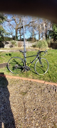 Cube attalin race bike - cube,