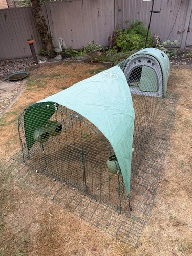 Omelet classic green eglu with - classic,