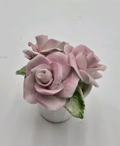 Radnor bone china - bone,