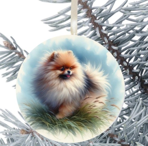 Pomeranian dog hanging - pomeranian,