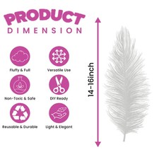 35-40cm Beautiful Large