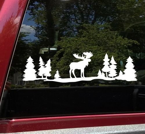 Moose forest scene - moose, v1