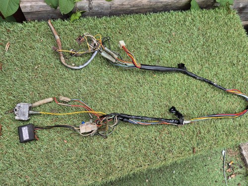 1983 suzuki fz50 wiring - 1983,