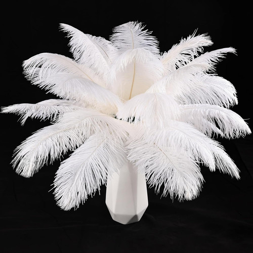 White ostrich feathers 12pcs - white,