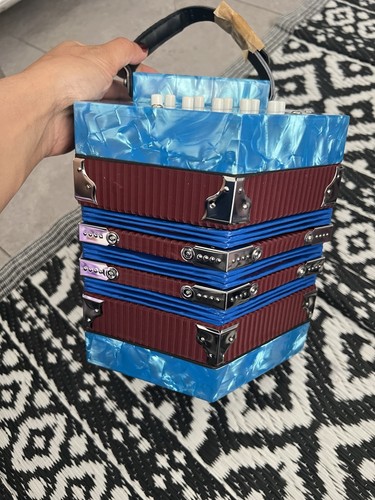 Professional accordion - professional,