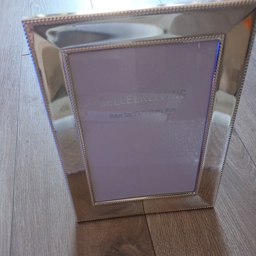 Belleek living silver - belleek,