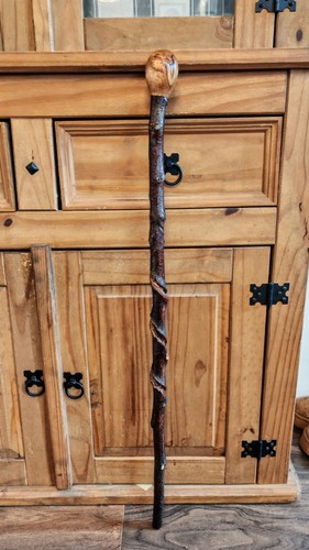 Twisted twisty wood hazel - twisted,