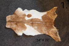 Goat skin, Taxidermy, Voodoo