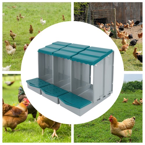 Compartment chicken nesting - chicken,