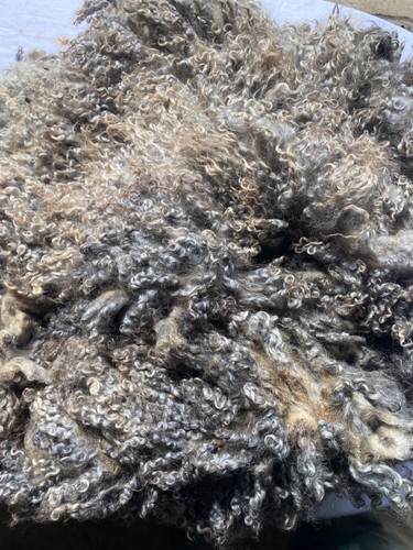 200g grey gotland raw - gotland,