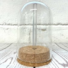 1 x Glass Dome Cloche Display