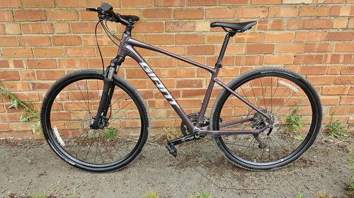 Giant roam disc medium frame - medium,