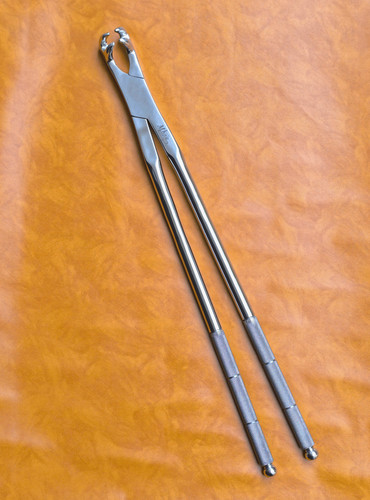 Four prong equine - prong, dental