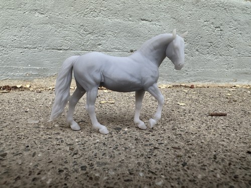 Dragon crossbred horse - crossbred, carola
