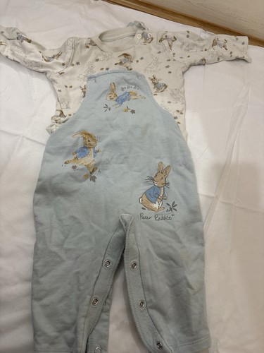 Peter rabbit piece - 2-piece, baby