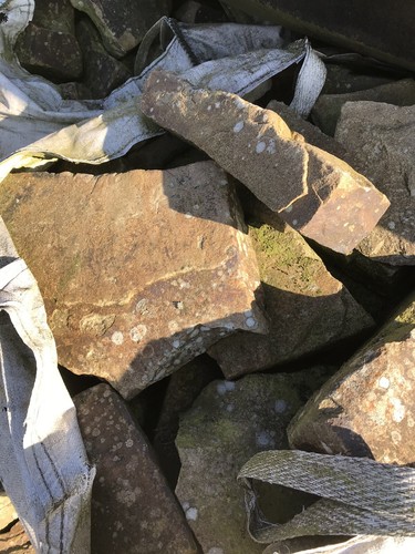 Yorkstone brown yellows garden - brown,