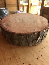 18" X 4"  Rustic log slice