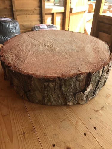 Rustic log slice - 18", 4"