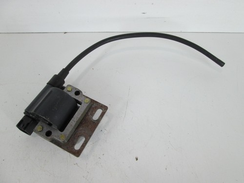 Rotax fr125 max early ignition - fr125,