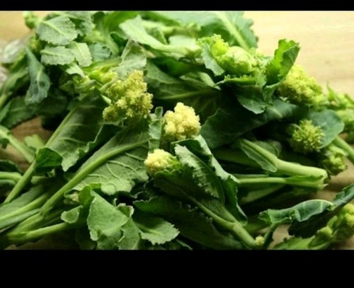 Purple white sprouting - purple, &