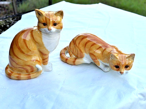 Just cats and - 'just, co'.
