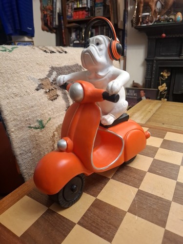 Bulldog with headphones riding - bulldog,