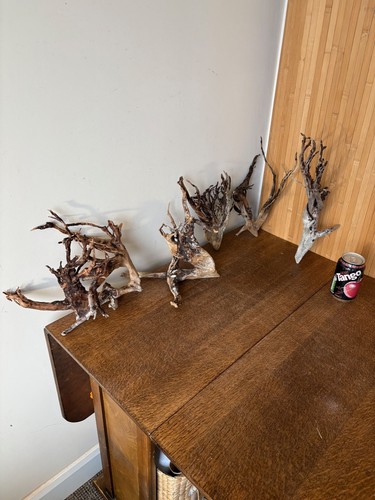 Driftwood dark tree - driftwood,